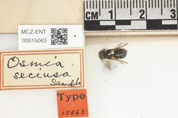 Media type: image;   Entomology 15063 Aspect: Labels